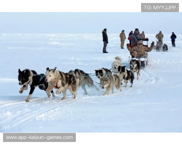 雪橇锦标：俄罗斯队稳居金牌榜，冲击纪录！，俄罗斯的雪橇